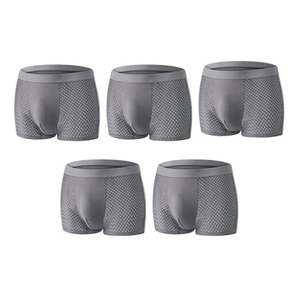 【Buy 3 Get 2 Free】-2026 HOT SALE🔥Sfrcord™ Premium Leakproof lceSilk Mesh Men's Boxer