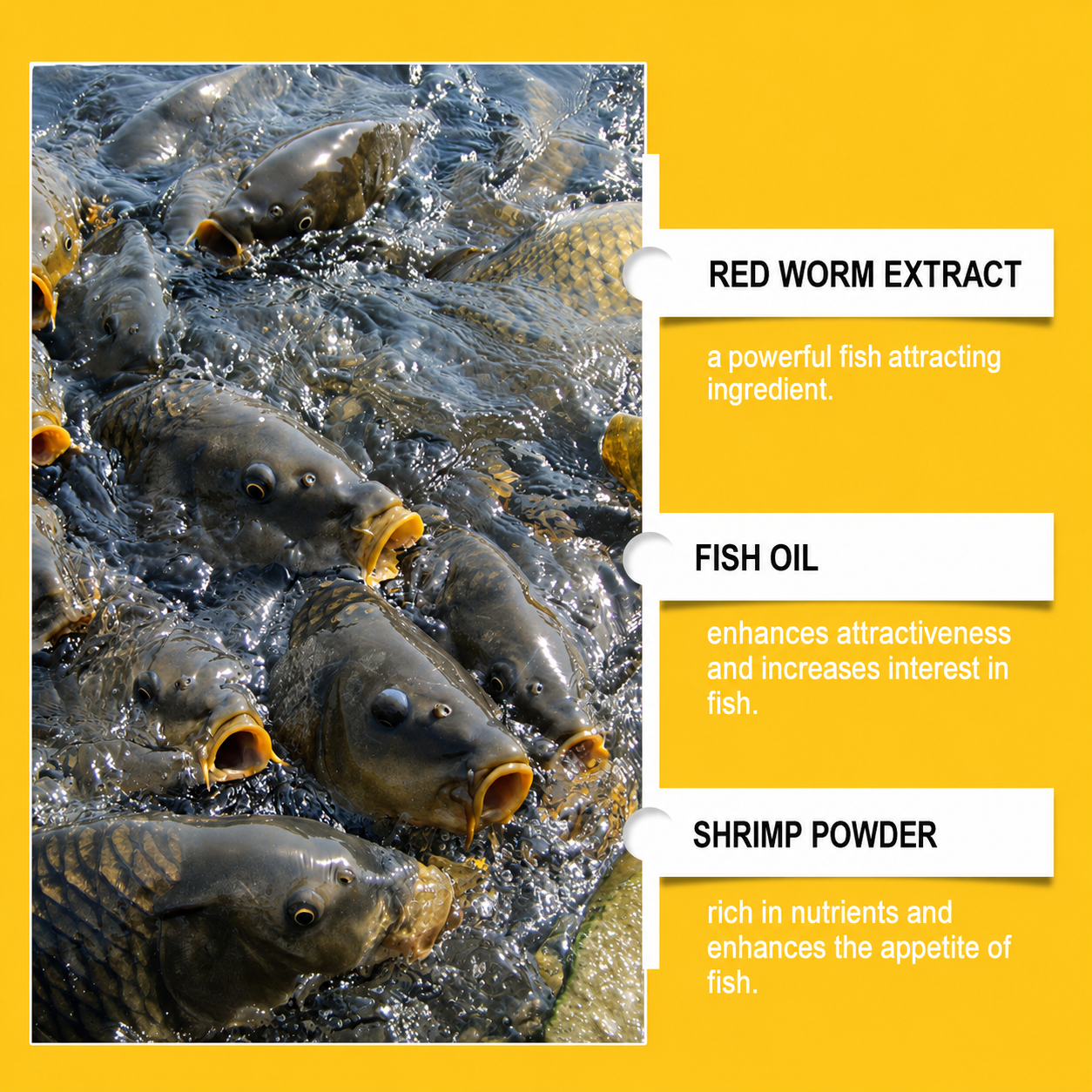 🎣 Concentrated Fish Attractant Liquid – 🐟Fast-Acting Red Worm Formula